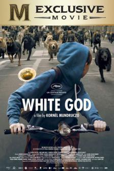 White God - มะหมากบฏคน