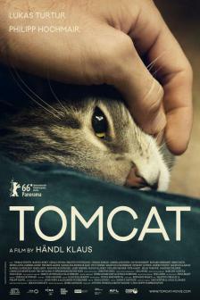 Tomcat - ทอมแคท