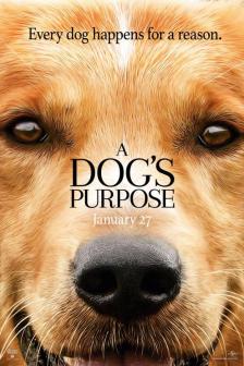 A Dog's Purpose - หมา เป้าหมาย และเด็กชายของผม
