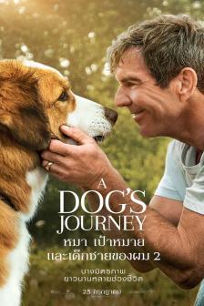 A Dogs Journey - หมา เป้าหมาย และเด็กชายของผม 2