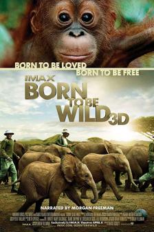 Born to Be Wild(ImaxDigital3D) - บอร์น ทู บี วายด์(ไอแมกซ์ดิจิตอล3มิติ)