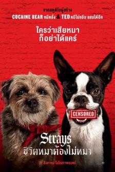 Strays - ชีวิตหมาต้องไม่หมา