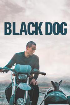 Black Dog - Black Dog