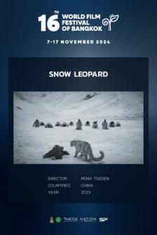 Snow Leopard_WF24