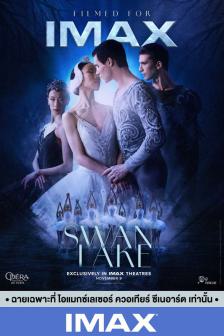 SWAN LAKE - SWAN LAKE